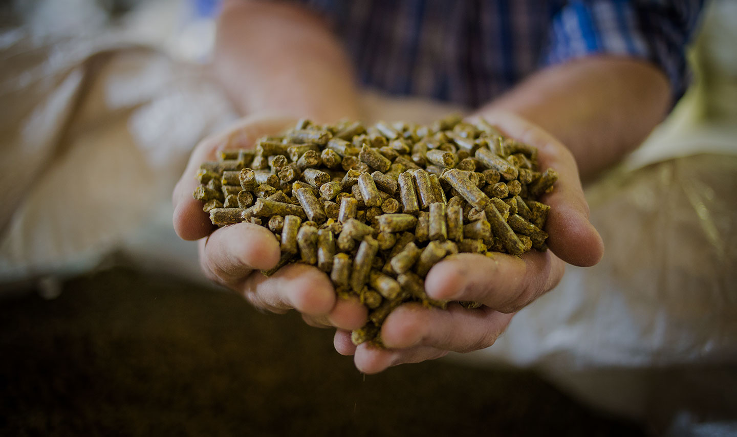 ALIMENTS POUR ANIMAUX DANS LES HAUTS DE FRANCE