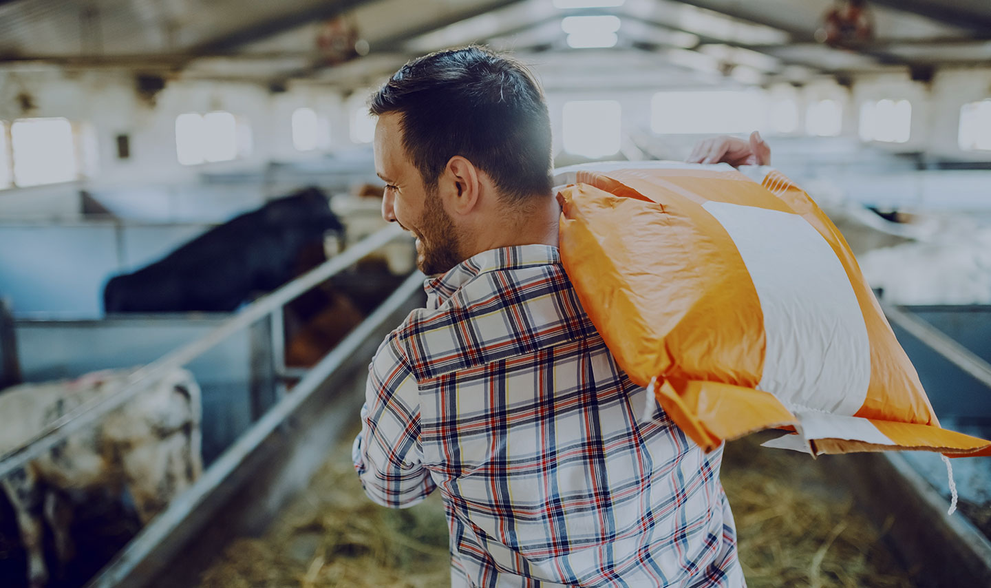 ALIMENTS POUR ANIMAUX DANS LES HAUTS DE FRANCE